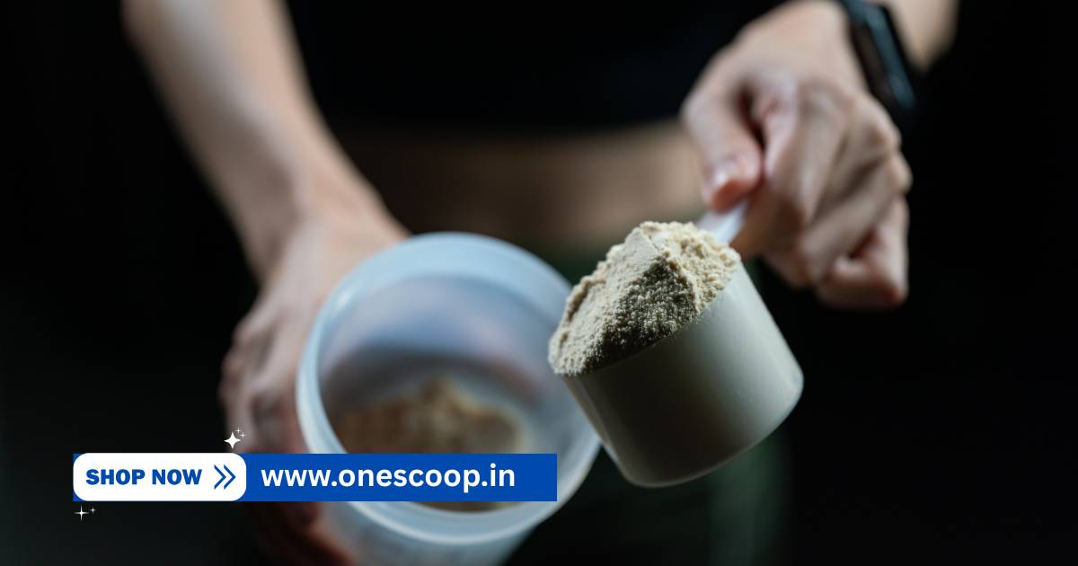 Protein Powders Dealers in Shimoga