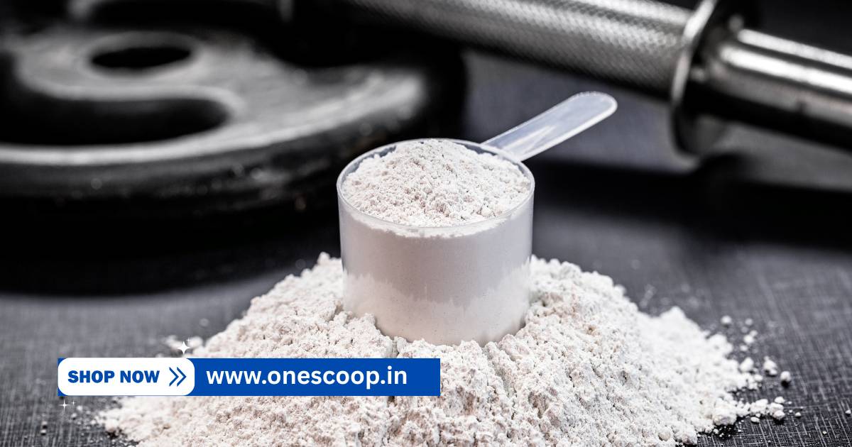 Whey Protein Dealers in Shimoga