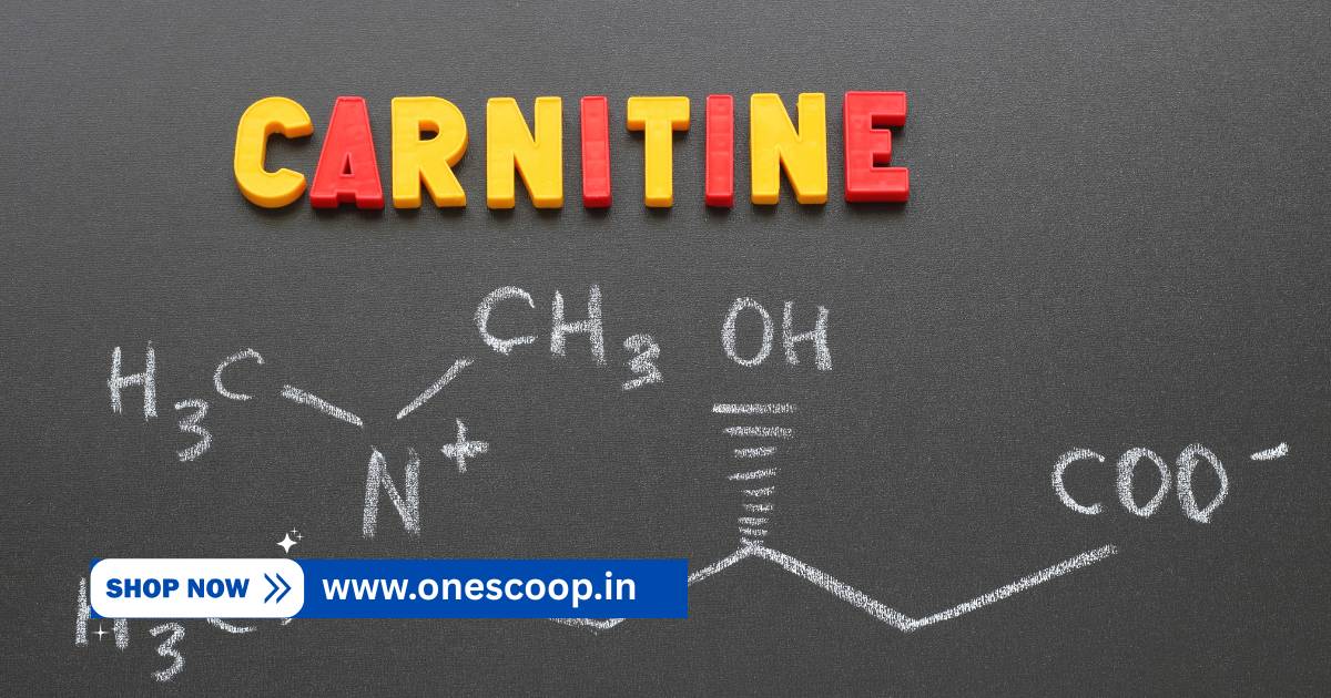 CLA, L-Carnitine Dealers in Shimoga