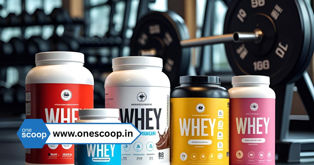 Whey Protein Concentrate in Mysore